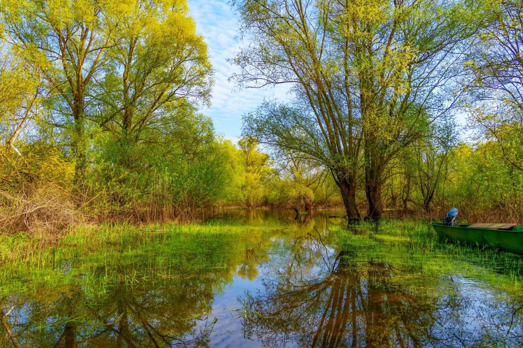 Alandblick Villa Wanzer Bagian luar foto