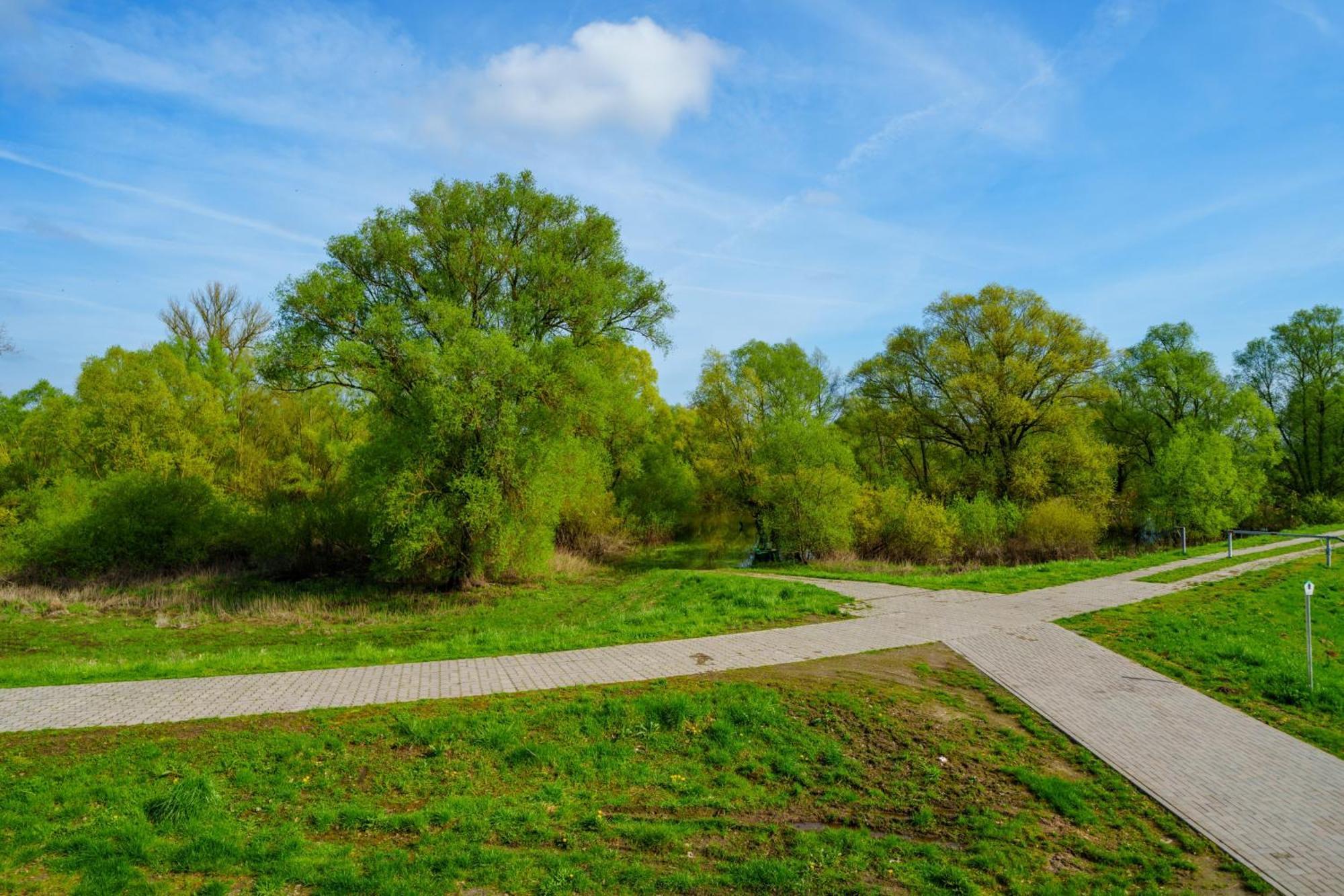 Alandblick Villa Wanzer Bagian luar foto